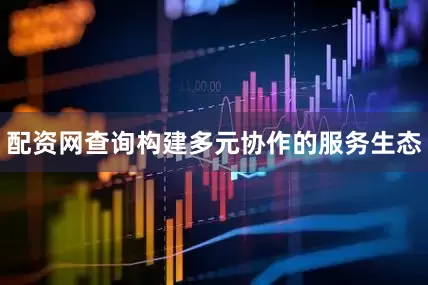 配资网查询构建多元协作的服务生态