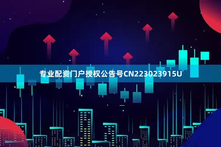 专业配资门户授权公告号CN223023915U