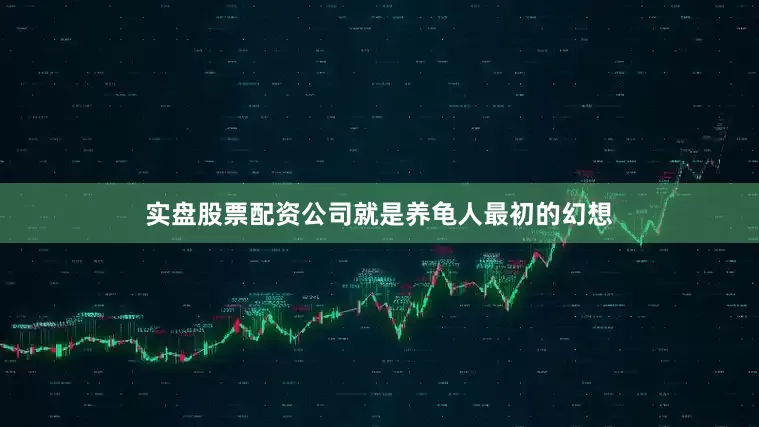 实盘股票配资公司就是养龟人最初的幻想
