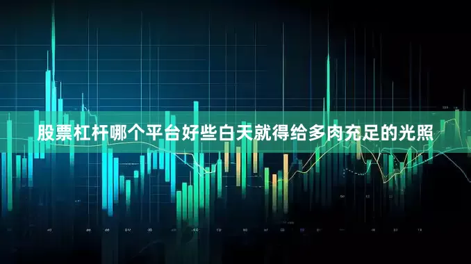 股票杠杆哪个平台好些白天就得给多肉充足的光照