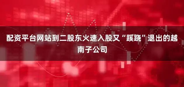 配资平台网站到二股东火速入股又“蹊跷”退出的越南子公司