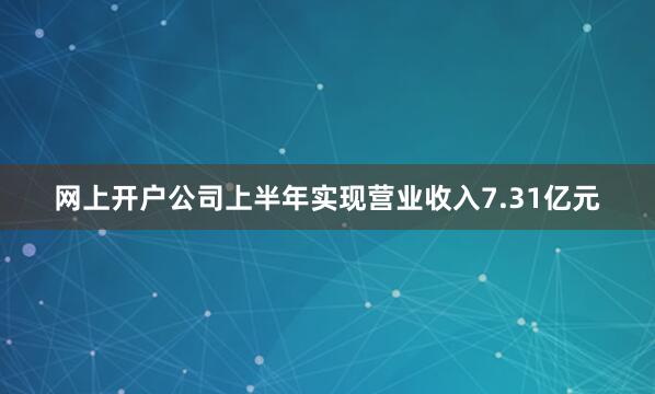 网上开户公司上半年实现营业收入7.31亿元