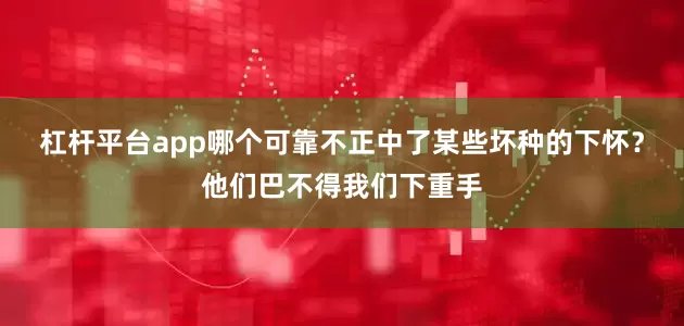杠杆平台app哪个可靠不正中了某些坏种的下怀？他们巴不得我们下重手