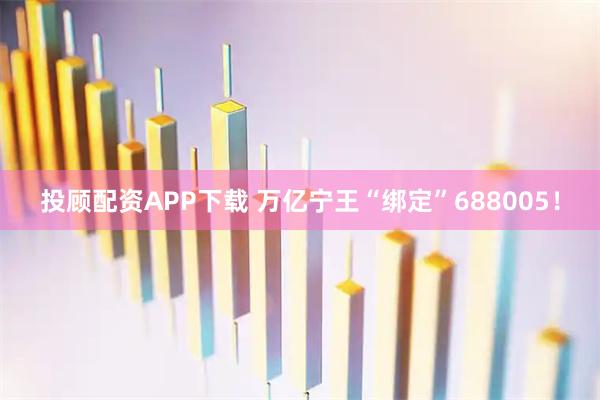 投顾配资APP下载 万亿宁王“绑定”688005！